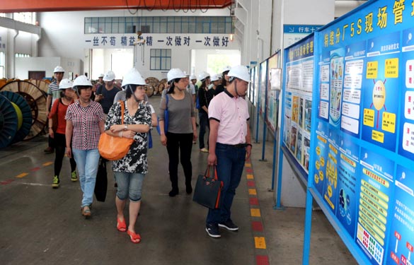 江蘇大學(xué)與泰州市企業(yè)管理專(zhuān)家來(lái)上上電纜觀摩