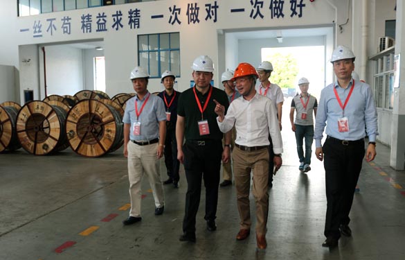 靖江市、溧陽(yáng)市青商會(huì)齊聚上上電纜參觀交流