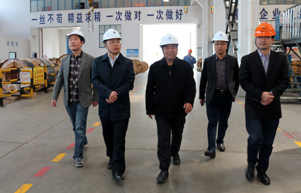 2015年3月26日，江蘇省射陽縣領(lǐng)導(dǎo)一行來上上電纜視察