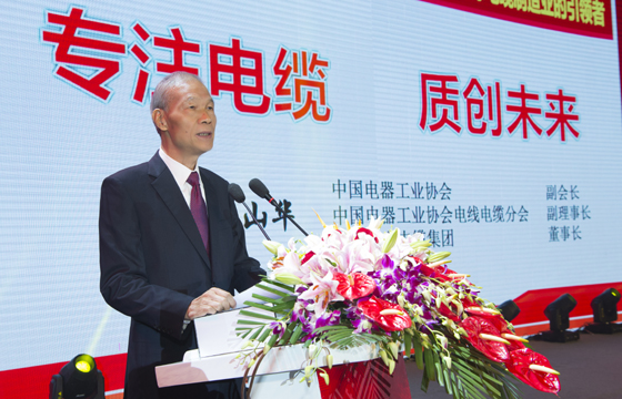 丁山華董事長(zhǎng)在公司50周年慶典上的講話(huà)