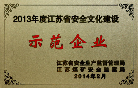 上上集團(tuán)榮獲“2013年度江蘇省安全文化建設(shè)示范企業(yè)”稱號