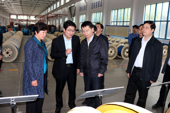 巢湖市委副書記張生一行來(lái)上上集團(tuán)參觀考察