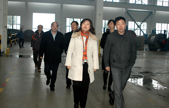 中關(guān)村管委會領(lǐng)導(dǎo)來上上集團(tuán)參觀考察