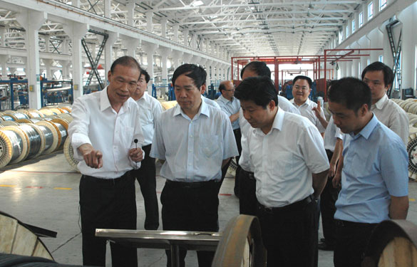 江蘇省省長助理、省科技廳廳長徐南平來上上集團(tuán)調(diào)研